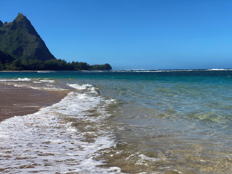 Best snorkeling in Kauai. See monk seals and sea turtles play.