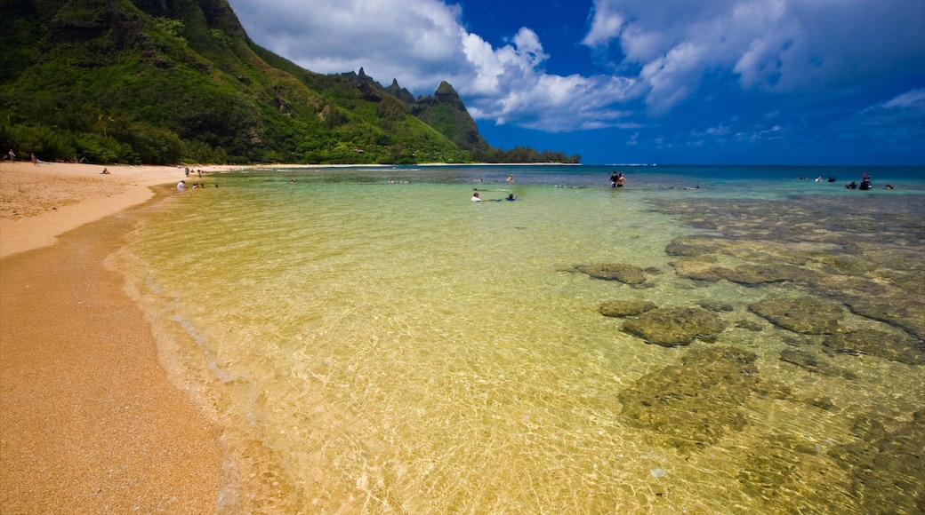 Makua Beach featuring general coastal views and a sandy beach