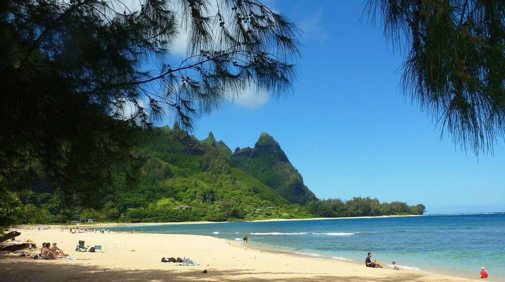 One of our favorite beaches on Kauai - I could sit here all day.
#hawaii #green