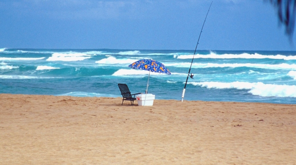 Fishing equipments on Lydgate Park Beach, Kauai, Hawaii, USA