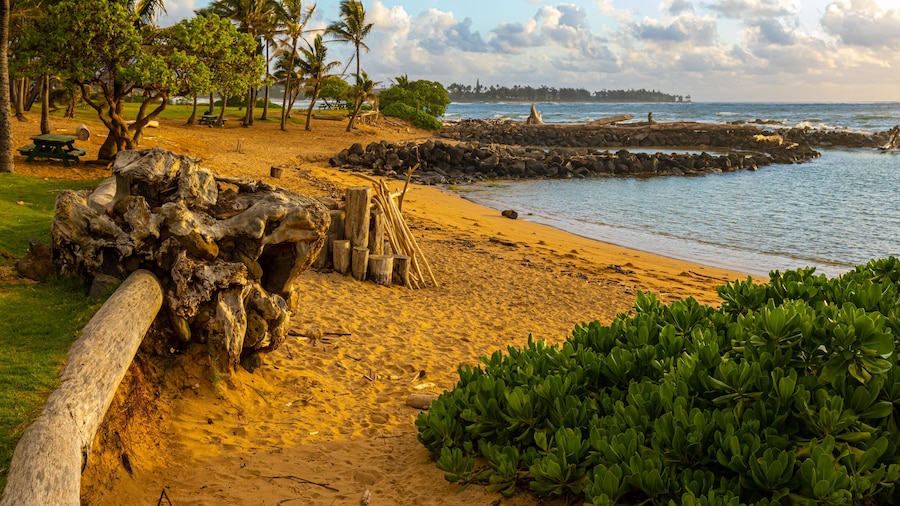 Driftwood on The Sandy Shores of Lydgate Beach on Lydgate Beach at Lydgate Beach Park, Lihue, Kauai, Hawaii, USA