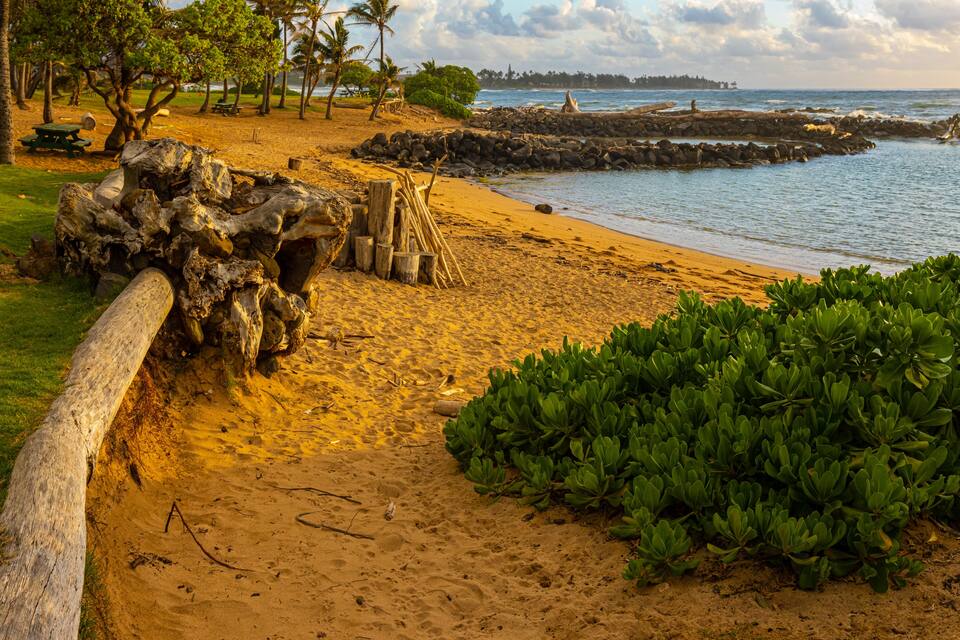 A sandy beach with a wooden fence, green plants, and a rocky shoreline.