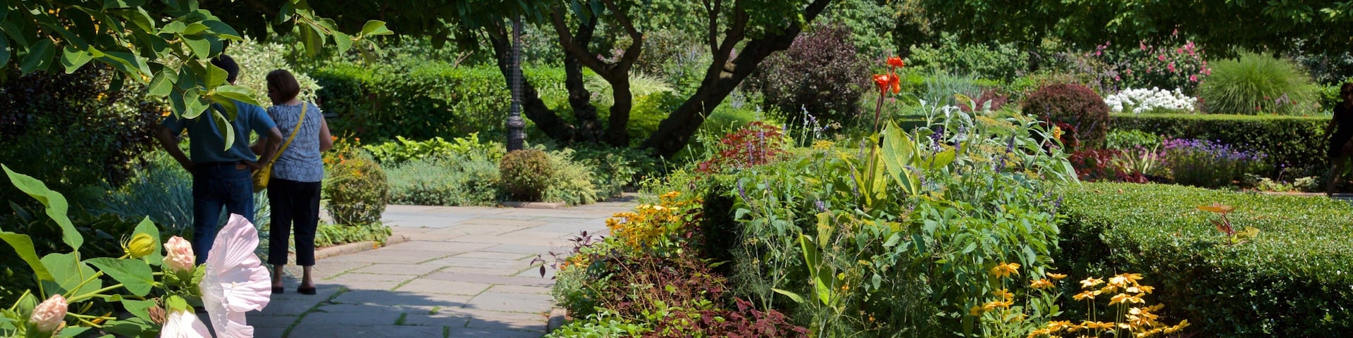 Conservatory Garden featuring a park and wildflowers