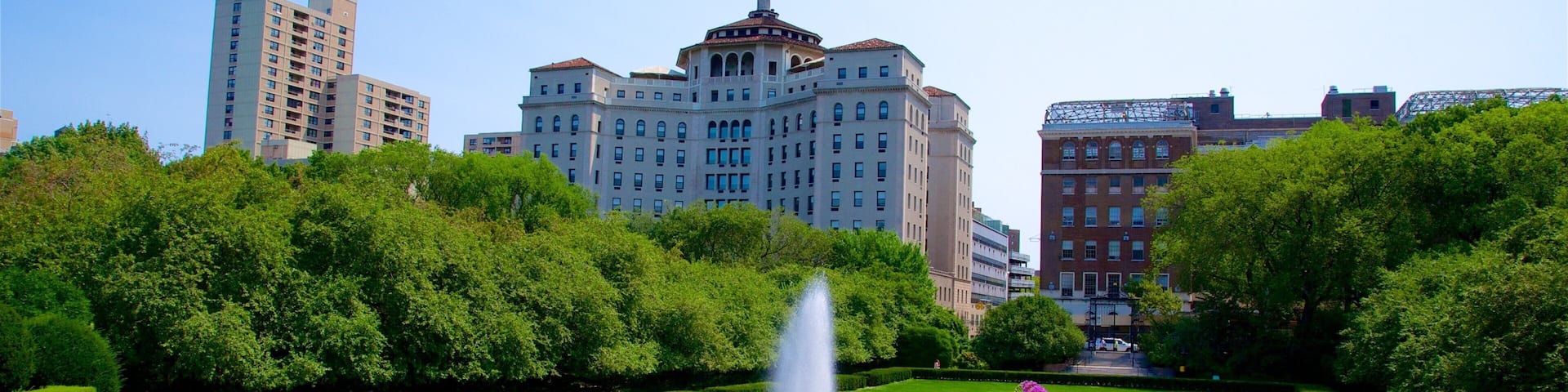 Central Park showing a city, a garden and a fountain