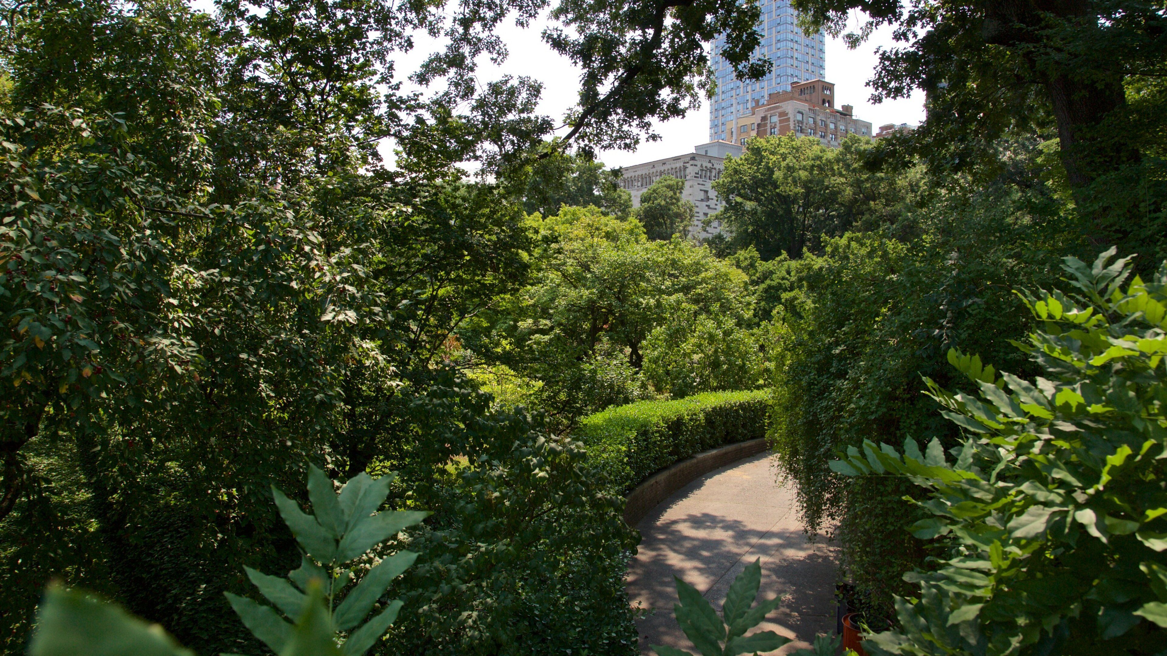 Conservatory Garden featuring a garden