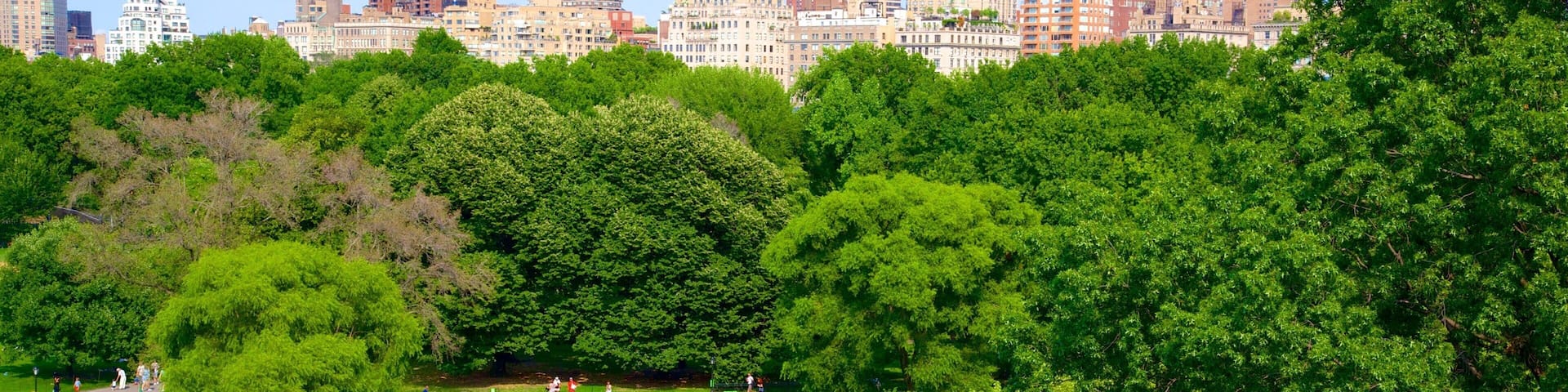 Château du Belvédère mettant en vedette ville et jardin