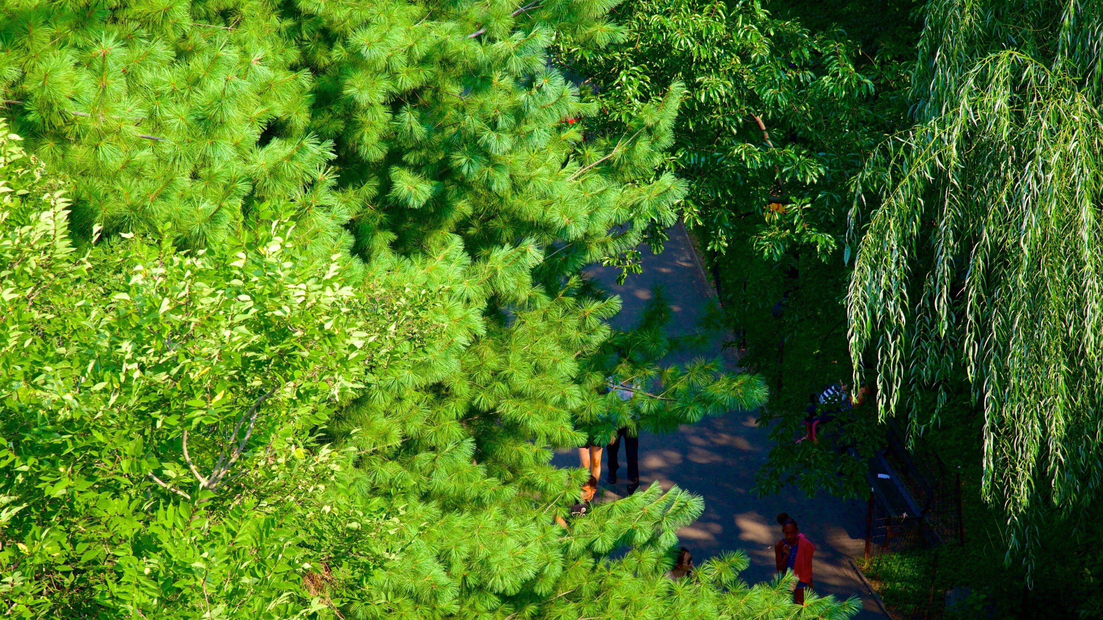 ベルヴェデーレ キャッスル フィーチャー 庭園