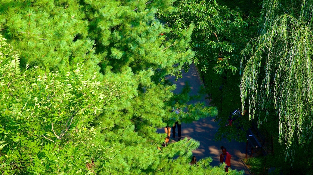 Belvedere Castle que inclui um jardim