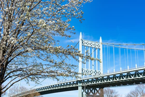 The Triborough Bridge with a White Flowering Tree during Spring seen from Astoria Park in Queens New York