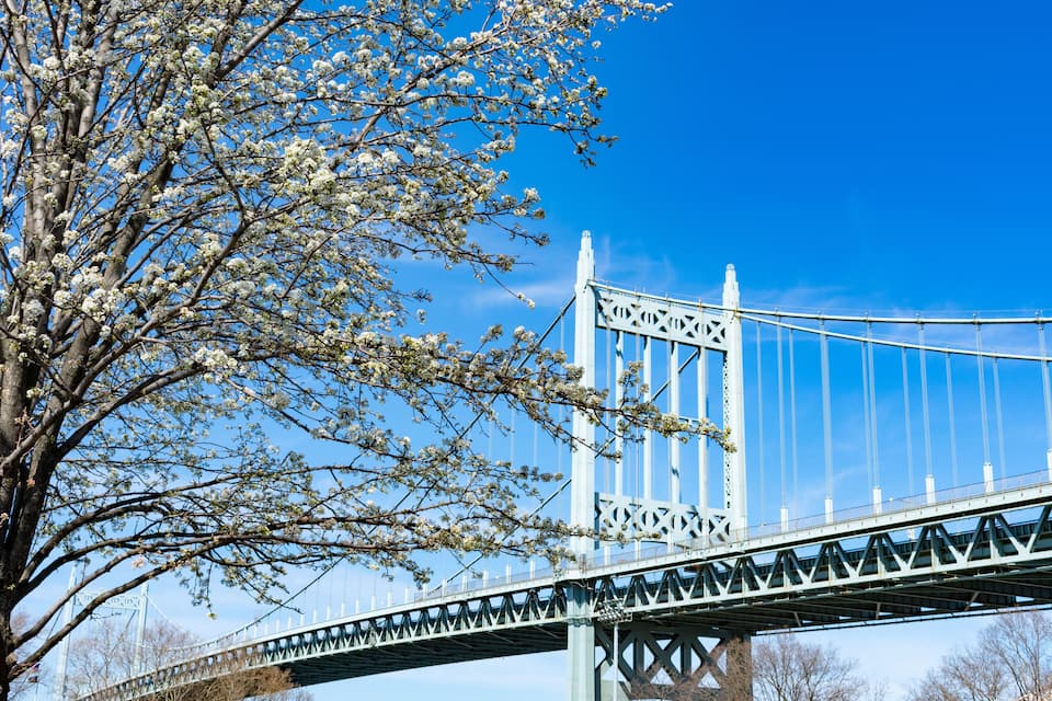 Un ponte con un albero sullo sfondo.