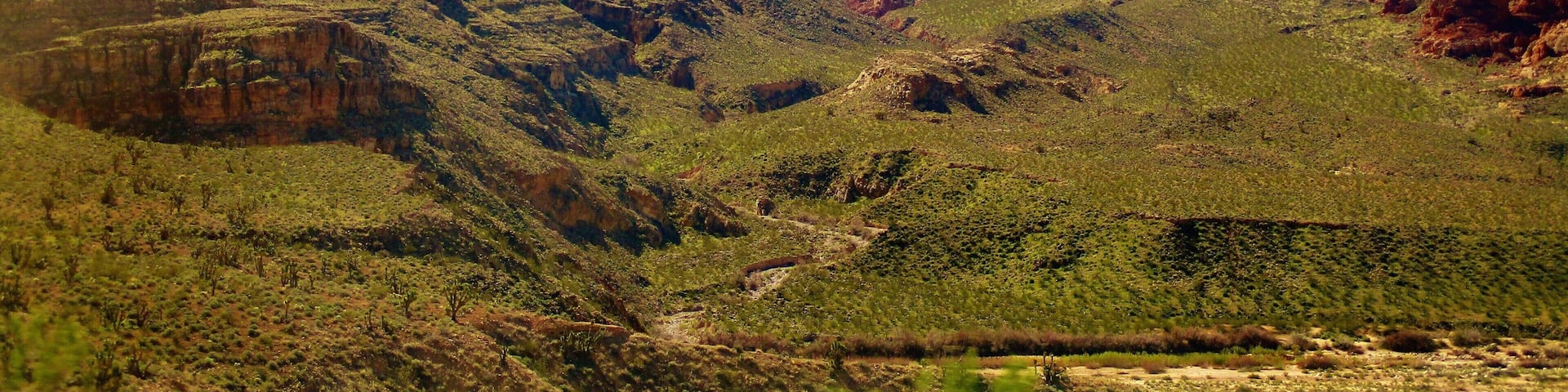 I took this photo at the Virgin River Gorge. In northwest Arizona, USA. This is right off of highway Interstate 15. I was on my way to Zion National Park in Utah when we came upon the Virgin River Gorge. And to tell the truth, when looking through my photos, I didn't even know what it was. I had to do some research later on to find out.
And more information: Virgin River Gorge is a long canyon that has been carved out by the Virgin River in northwest Arizona. The Virgin River rises on the Colorado Plateau and created the topography of both Zion National Park and the Virgin River Gorge. The Gorge connects the southwestern rim of the Colorado Plateau and the northeastern part of the Mojave Desert. Interstate 15 runs through the canyon and crosses the Virgin River several times. The Virgin River Gorge section of Interstate 15 is one of the most expensive parts of interstate highway ever constructed. Due to the winding of the canyon, the highway within is also noted for its tricky driving conditions.