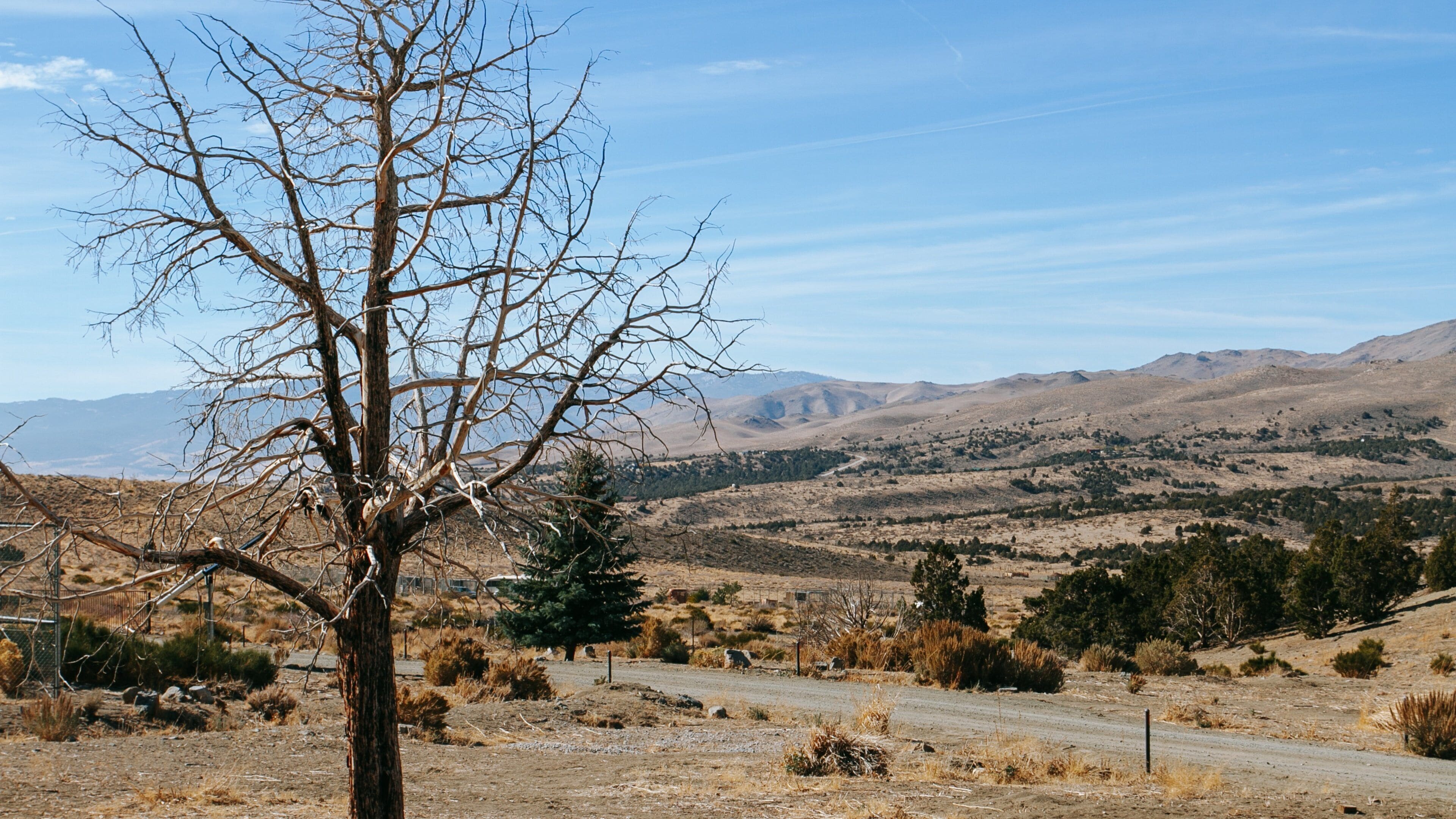 Animal Ark showing desert views and landscape views