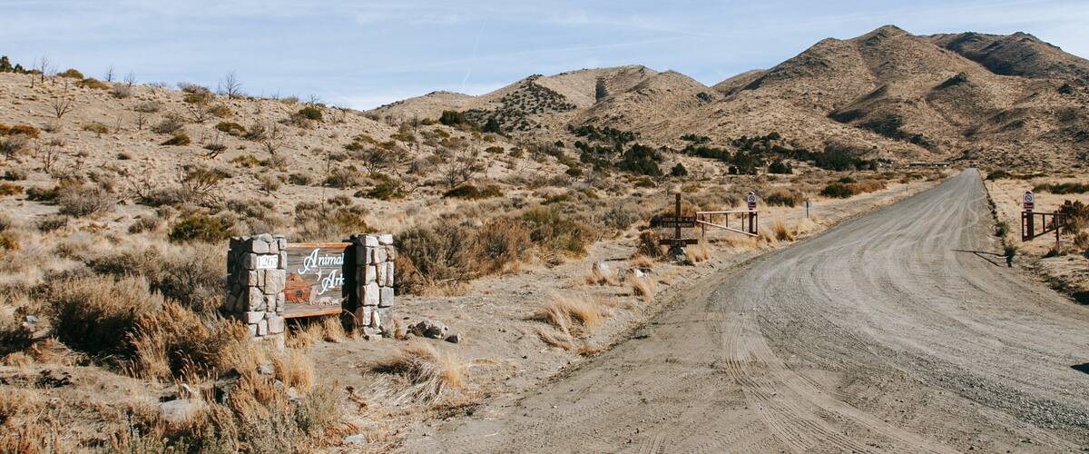 Animal Ark which includes signage and desert views