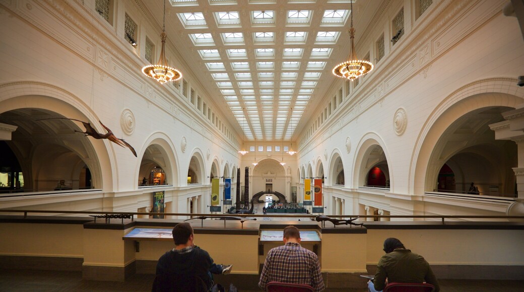 Field Museum of Natural History showing interior views as well as a small group of people