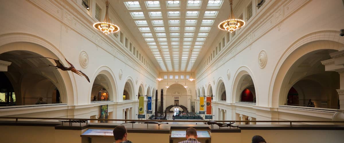 Field Museum of Natural History which includes interior views as well as a small group of people