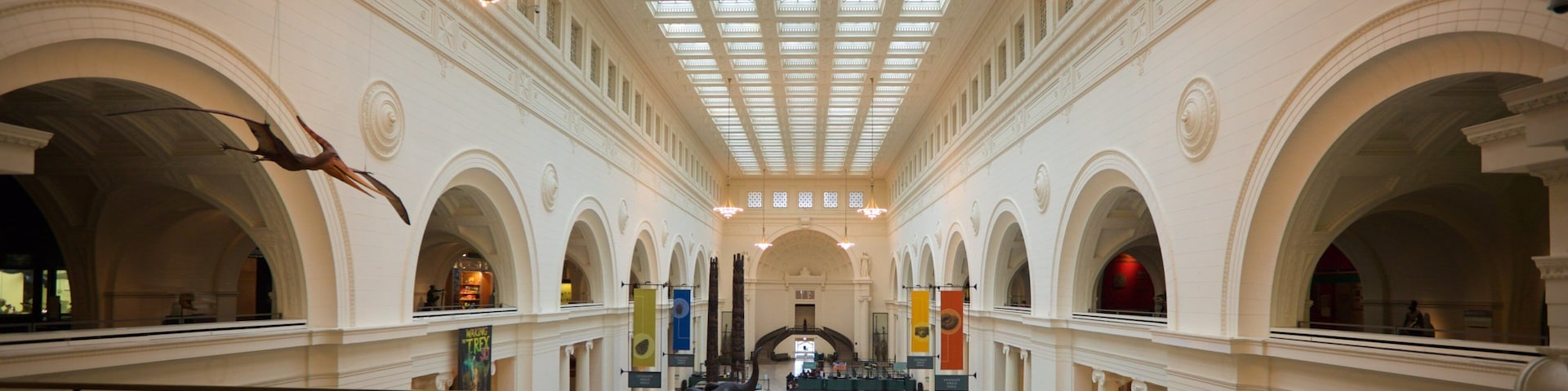 Museu Field de História Natural que inclui vistas internas assim como um pequeno grupo de pessoas