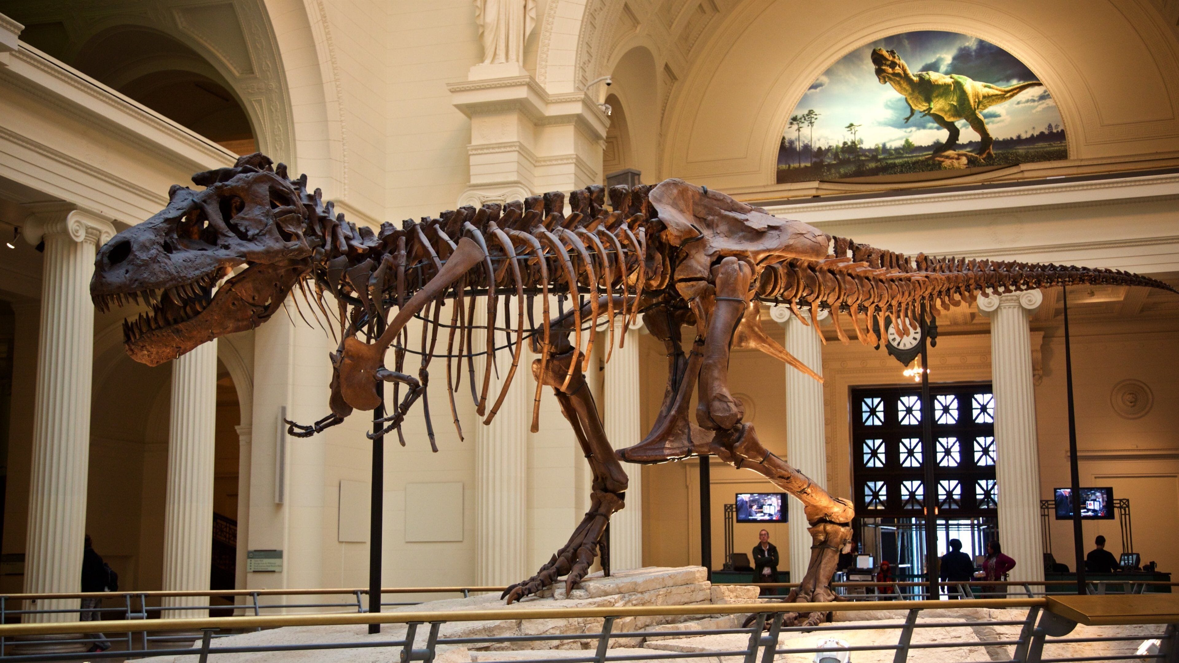 Field Museum of Natural History featuring heritage elements and interior views
