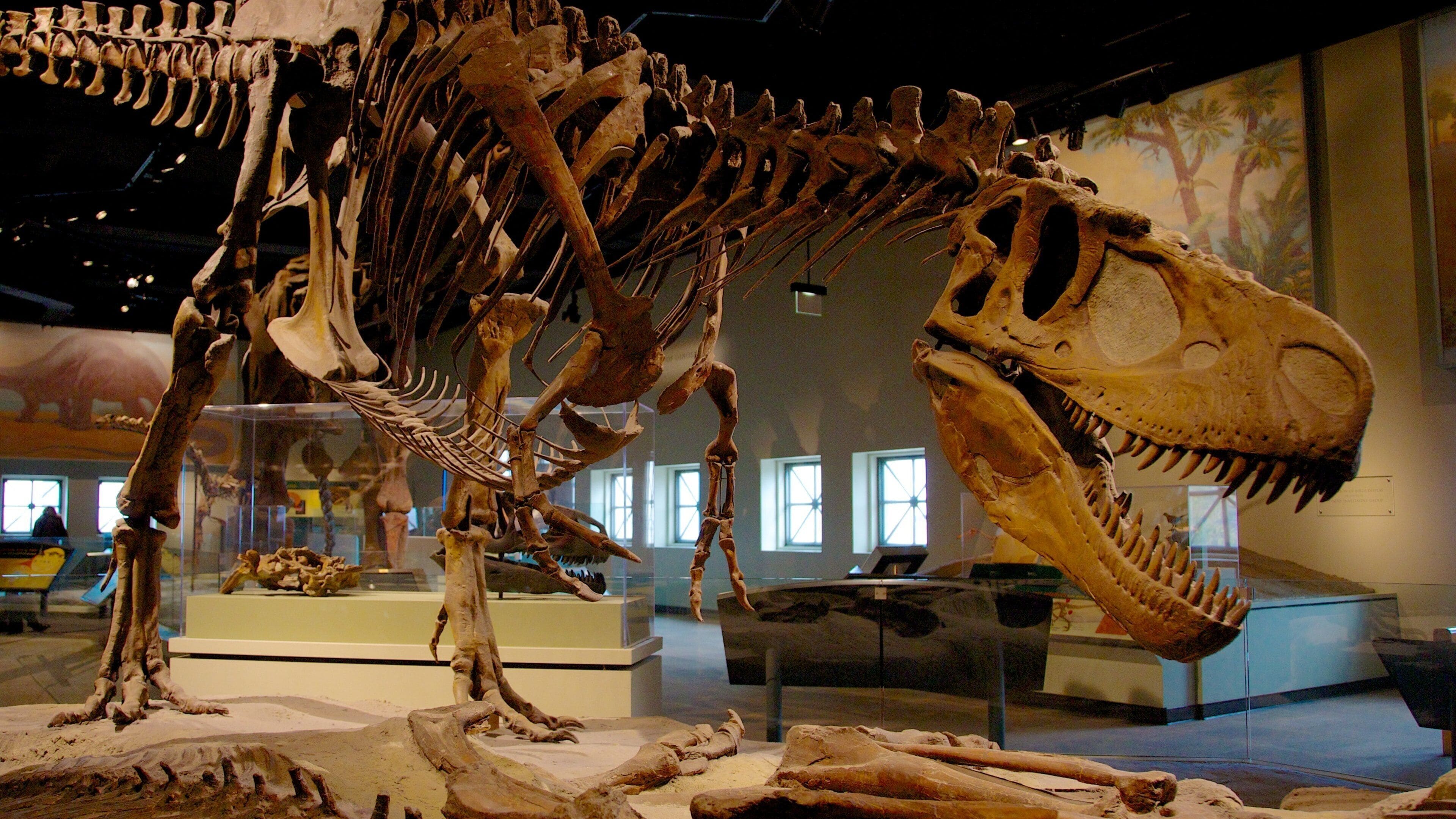 Discovering natural history at the Field Museum in Chicago with dinosaur exhibits and fascinating displays