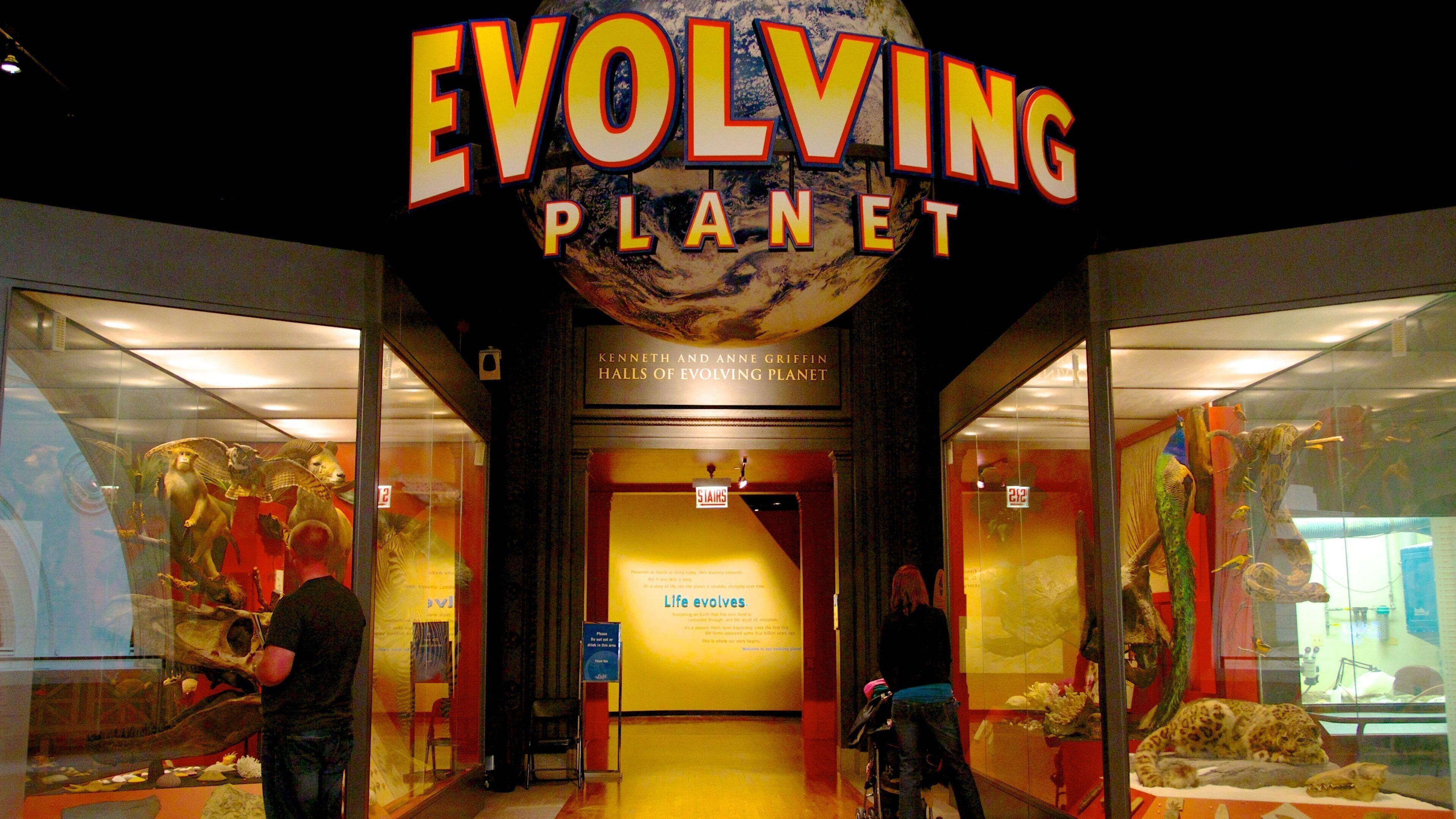 Visitors explore the Evolving Planet exhibit at the Field Museum in Chicago, showcasing natural history and evolution concepts
