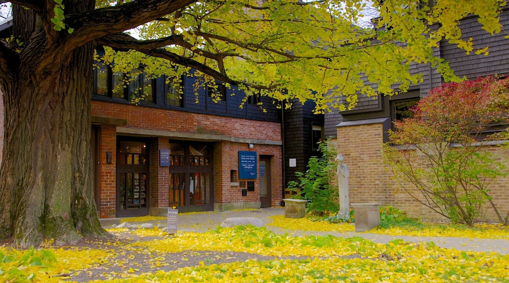 Frank Lloyd Wright Home and Studio