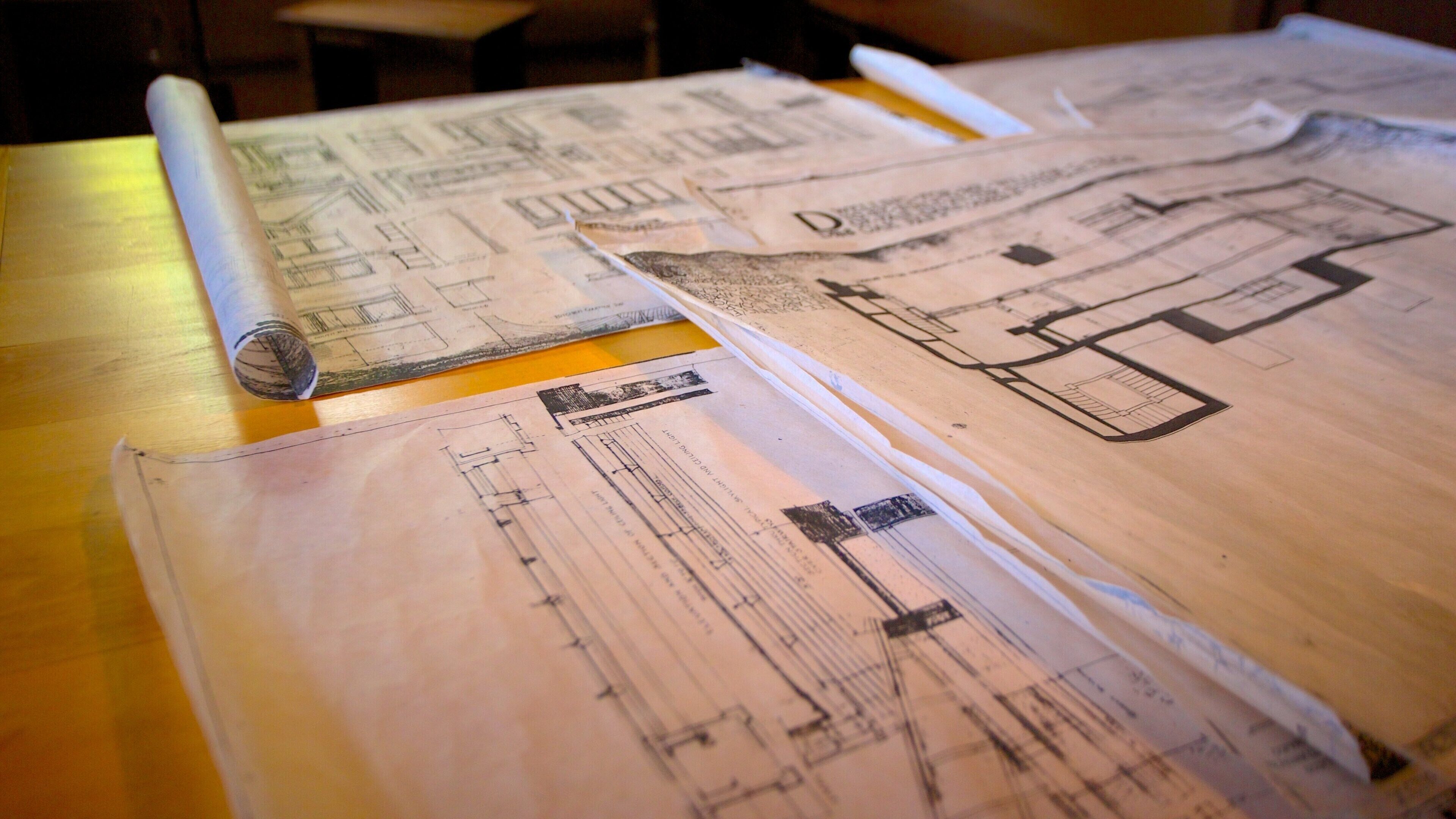 Frank Lloyd Wright Home and Studio