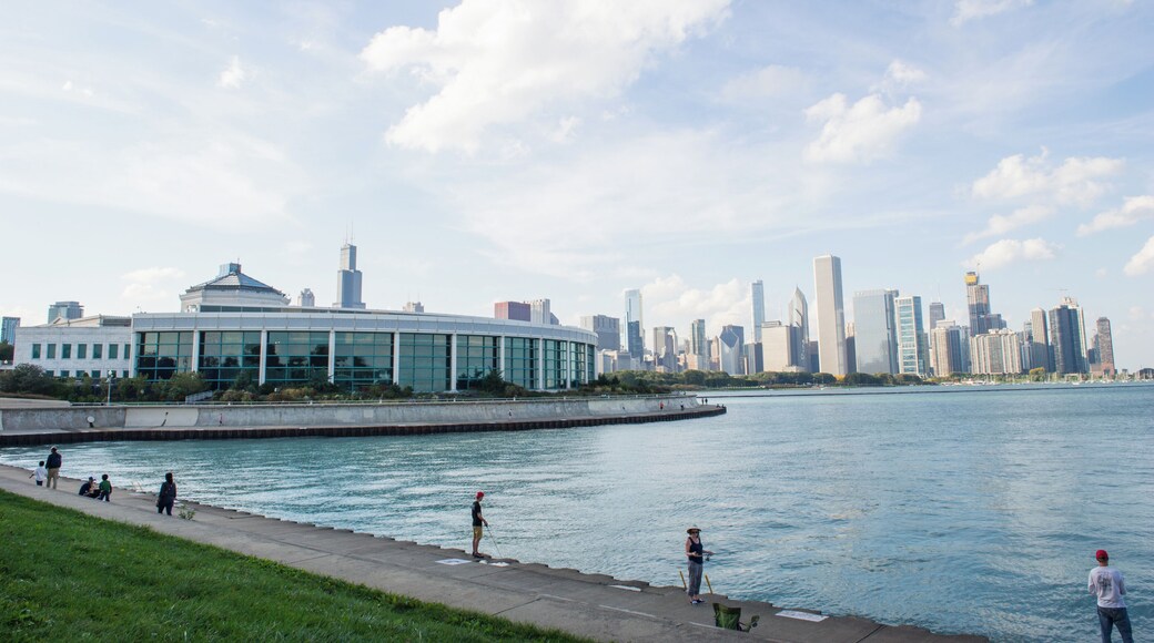 Chicago_JohnGSheddAquarium_6065141_05