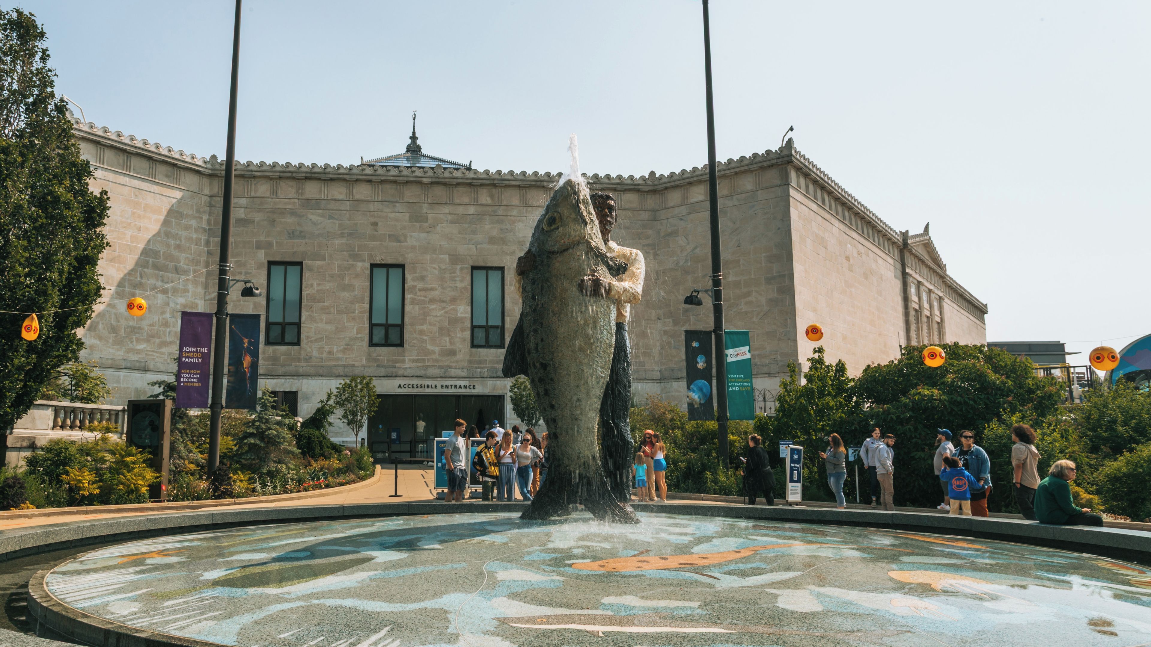 Shedd Aquarium
