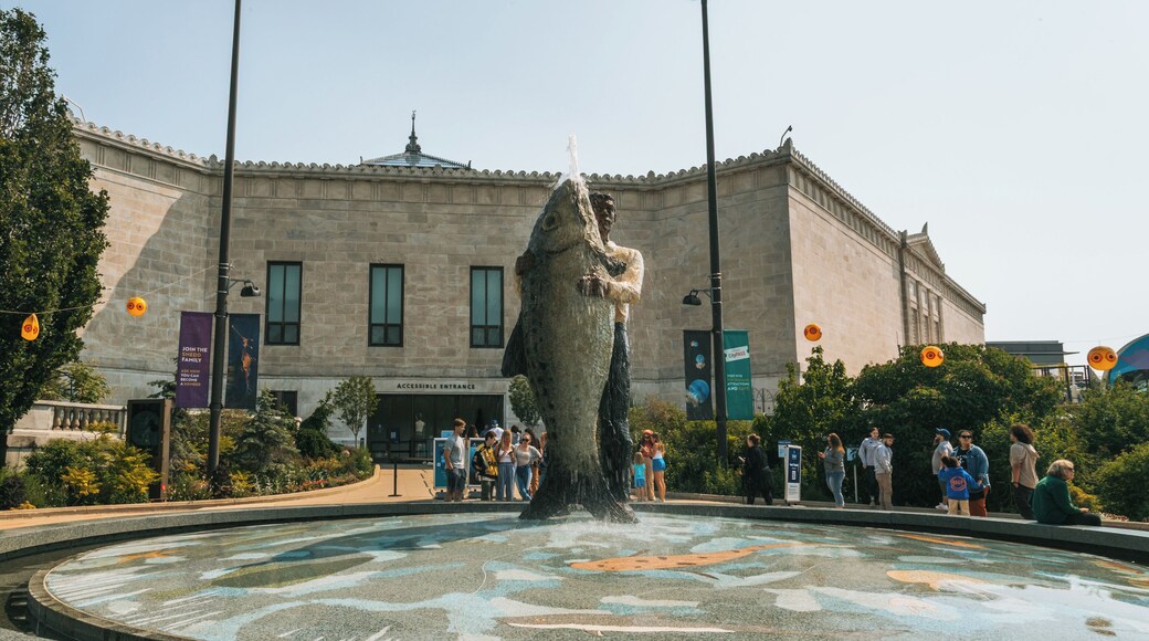 Shedd Aquarium