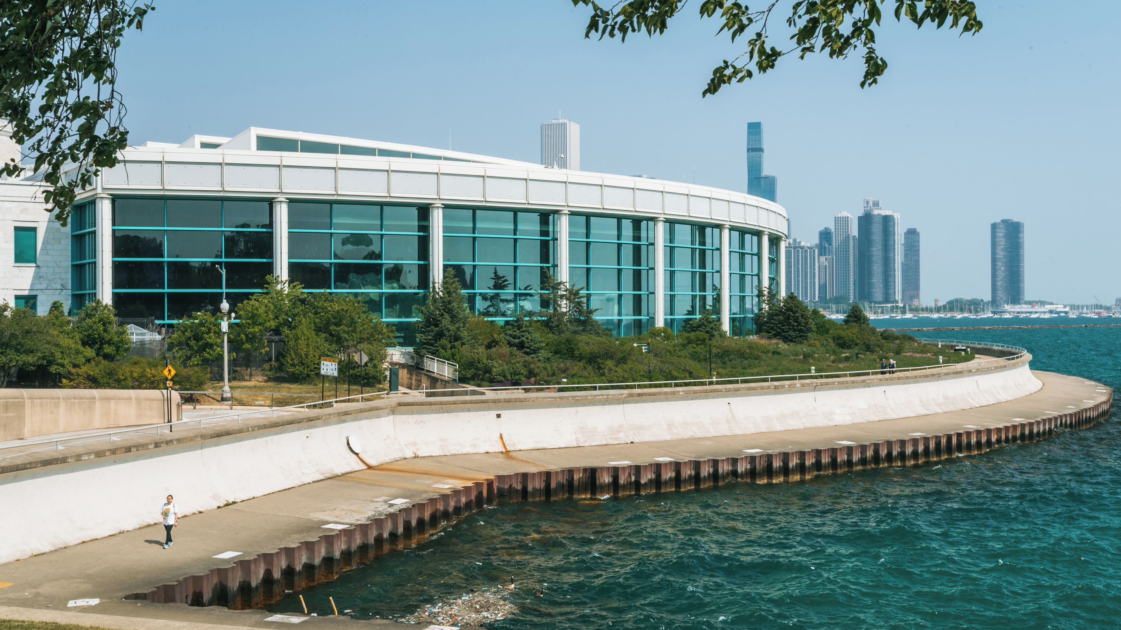 Shedd Aquarium