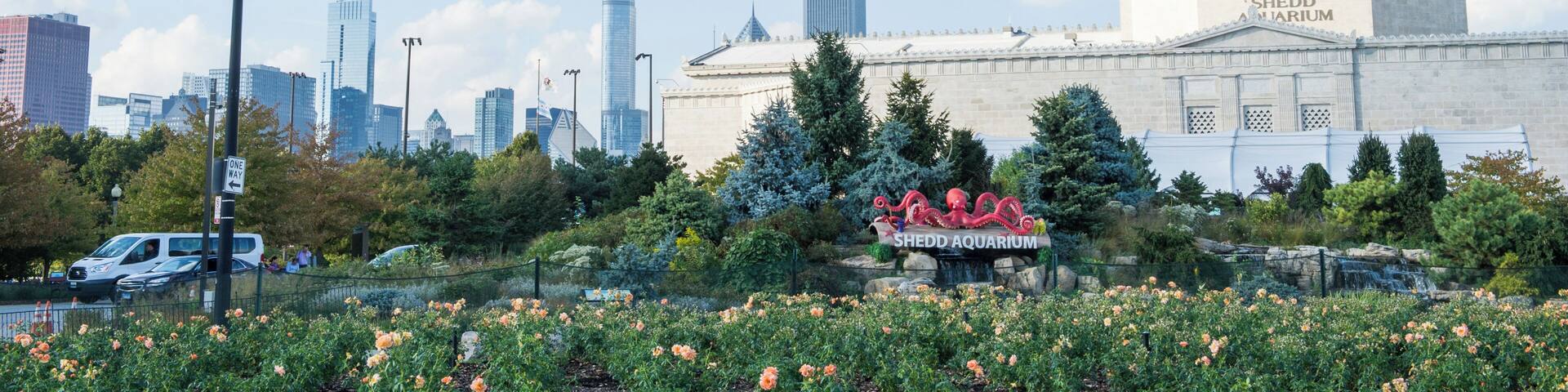Chicago_JohnGSheddAquarium_6065141_03