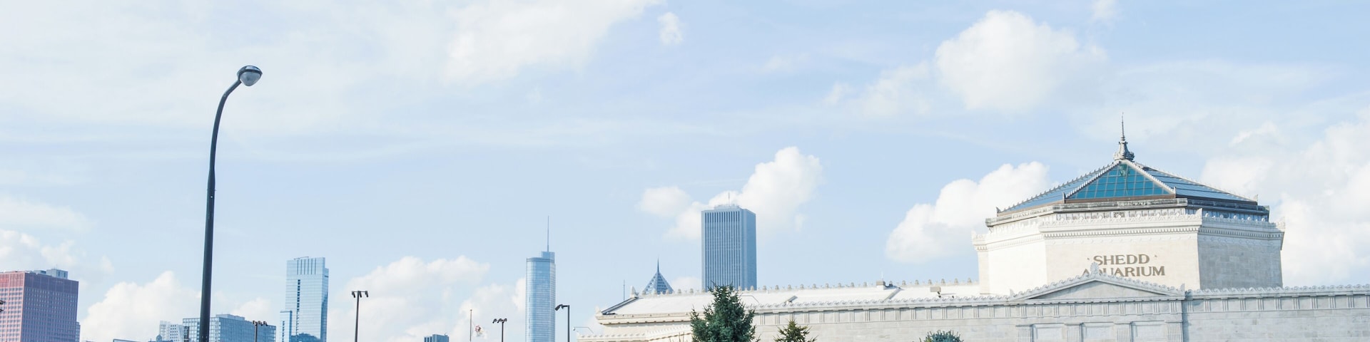 Chicago_JohnGSheddAquarium_6065141_03