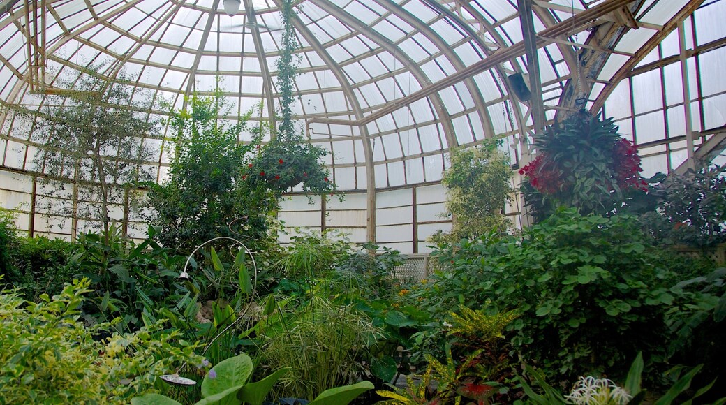 Lincoln Park Conservatory mostrando vista interna, un parque y flores