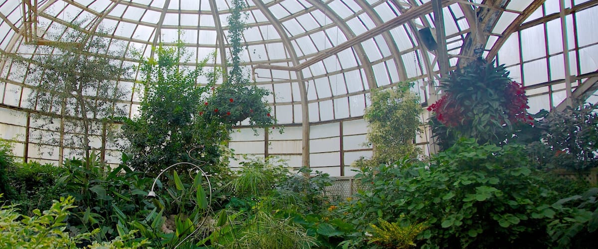 Lincoln Park Conservatory mostrando vistas interiores, un parque y flores