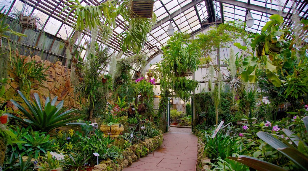Lincoln Park Conservatory mostrando vista interna, flores y jardín