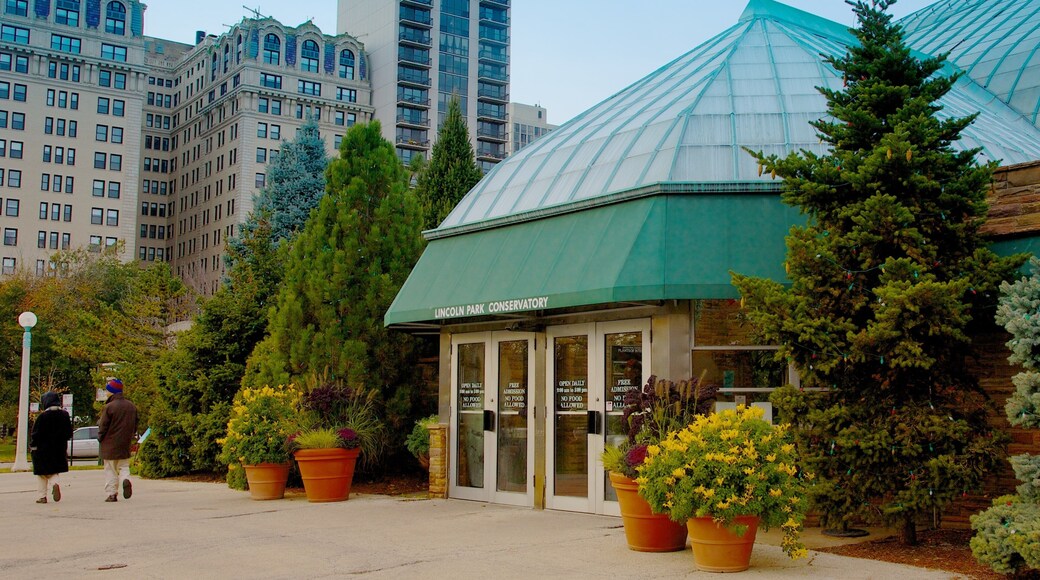 Lincoln Park Conservatory ofreciendo flores, jardín y una ciudad
