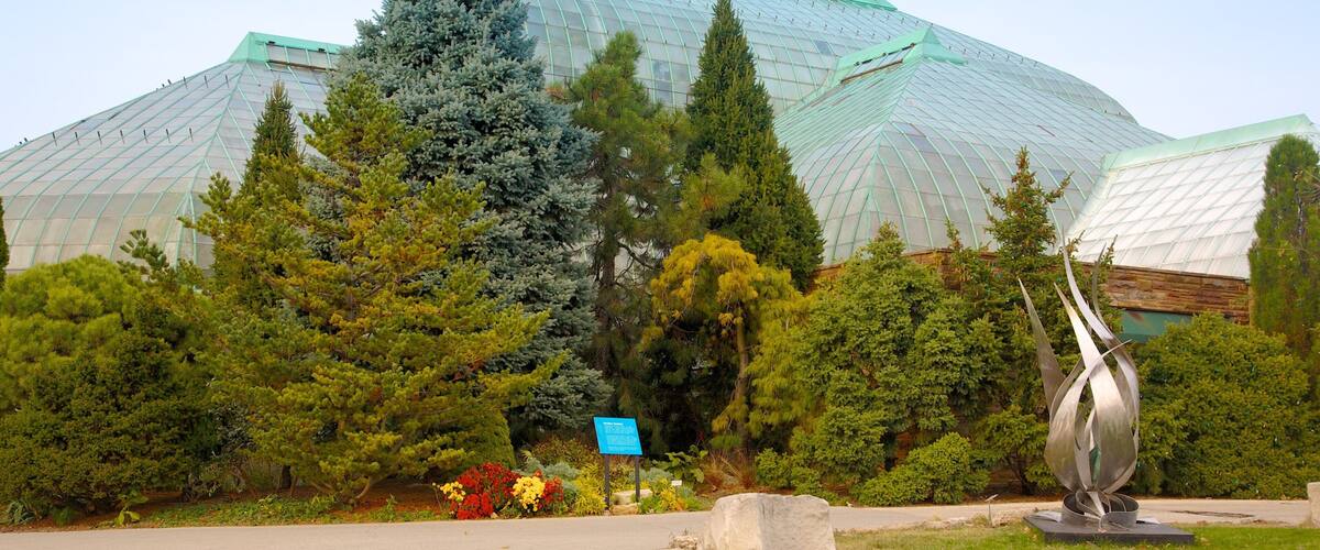 Enjoying the beauty of Lincoln Park Conservatory in Chicago surrounded by lush greenery and modern art