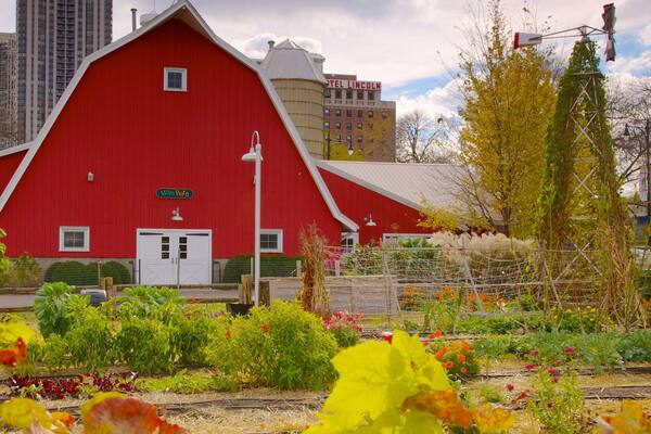 リンカーン パーク動物園 どの含み 都市, 庭園 と 花