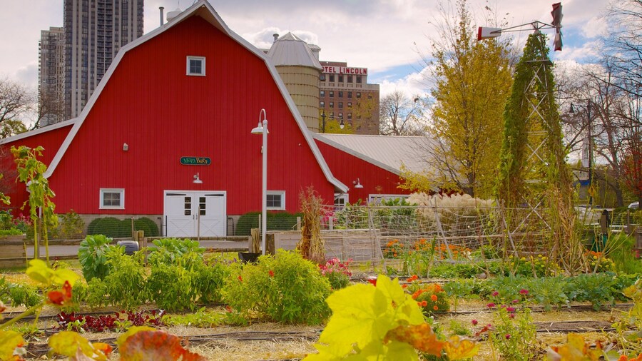 Vibrant garden and barn at Lincoln Park Zoo in Chicago during autumn