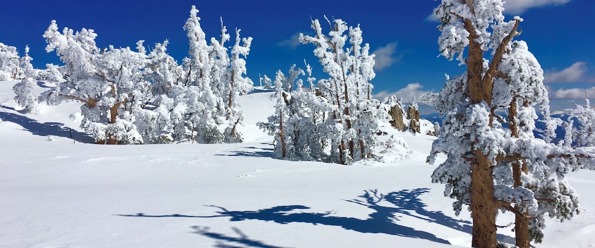 Bluebird day. Beautiful day for skiing