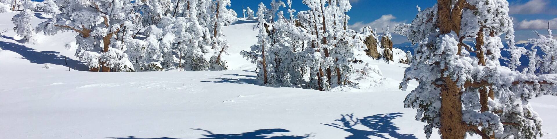 Bluebird day. Beautiful day for skiing