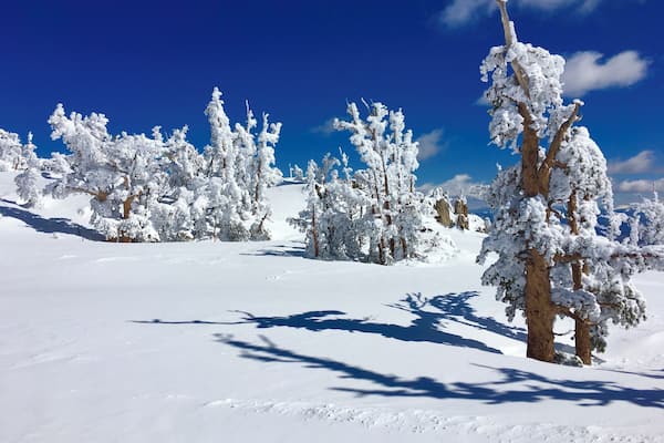 Bluebird day. Beautiful day for skiing