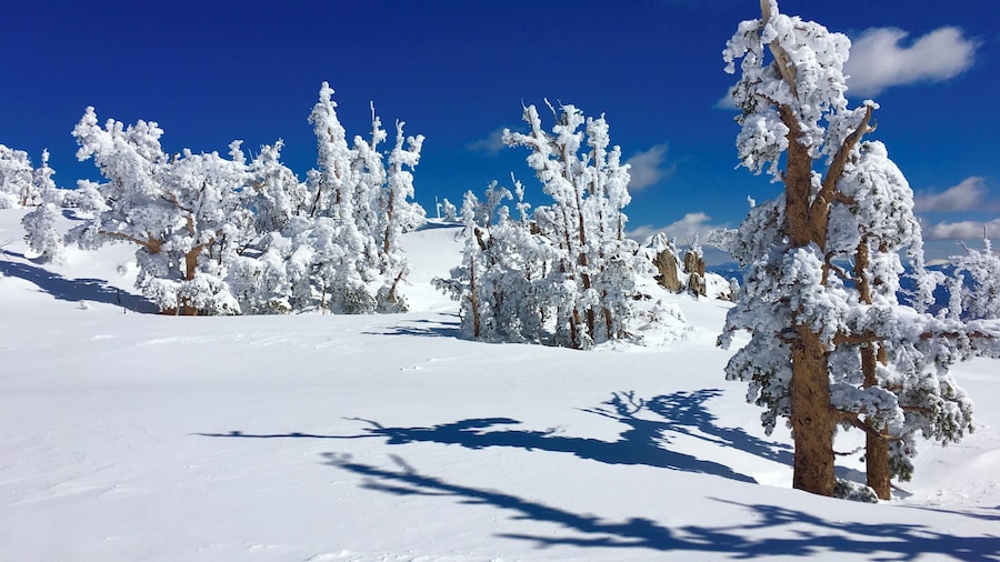 Bluebird day. Beautiful day for skiing