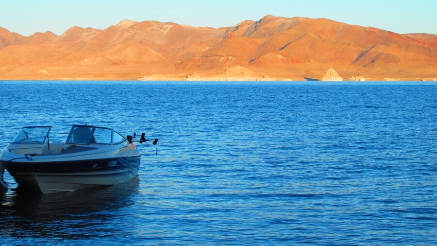 0_26b7a966-a9d2-4da1-bc6b-c64933640a16_raw