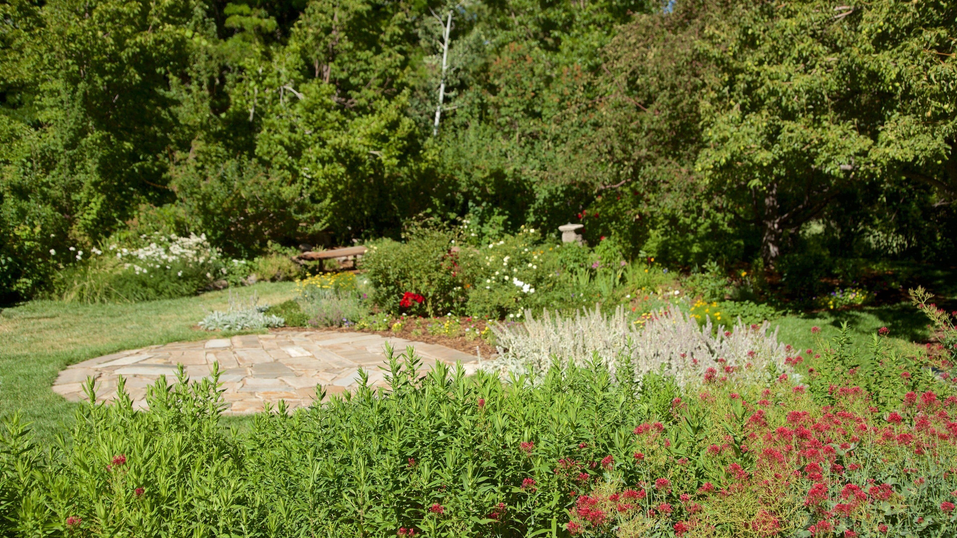 란초 산 라파엘 파크 을 특징 야생화 과 정원