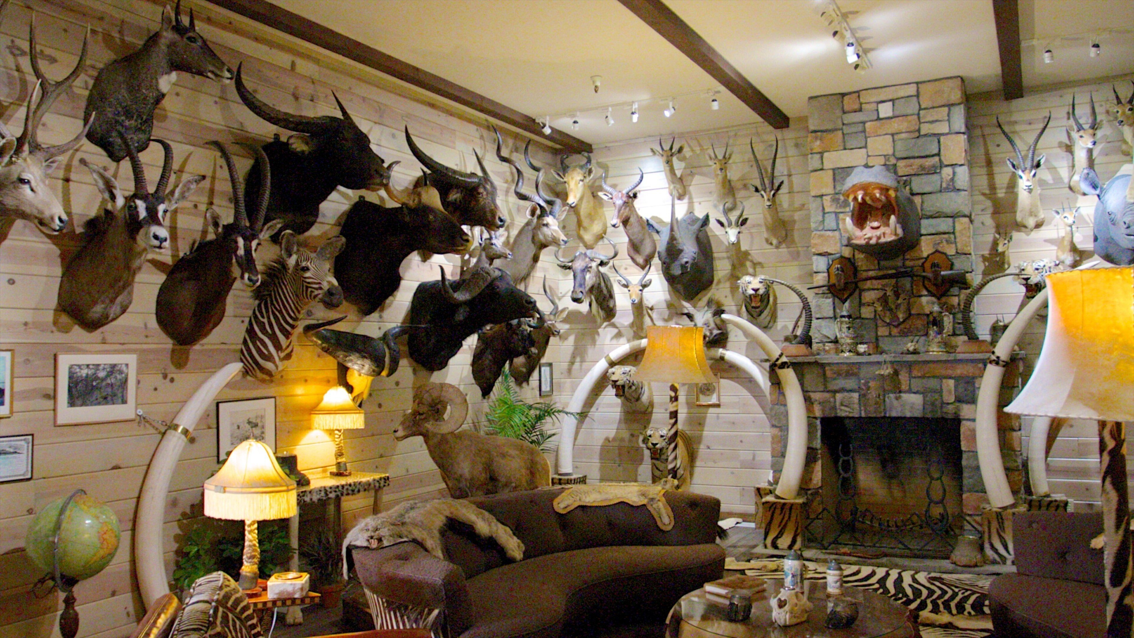 Rancho San Rafael Park ofreciendo vistas de interior