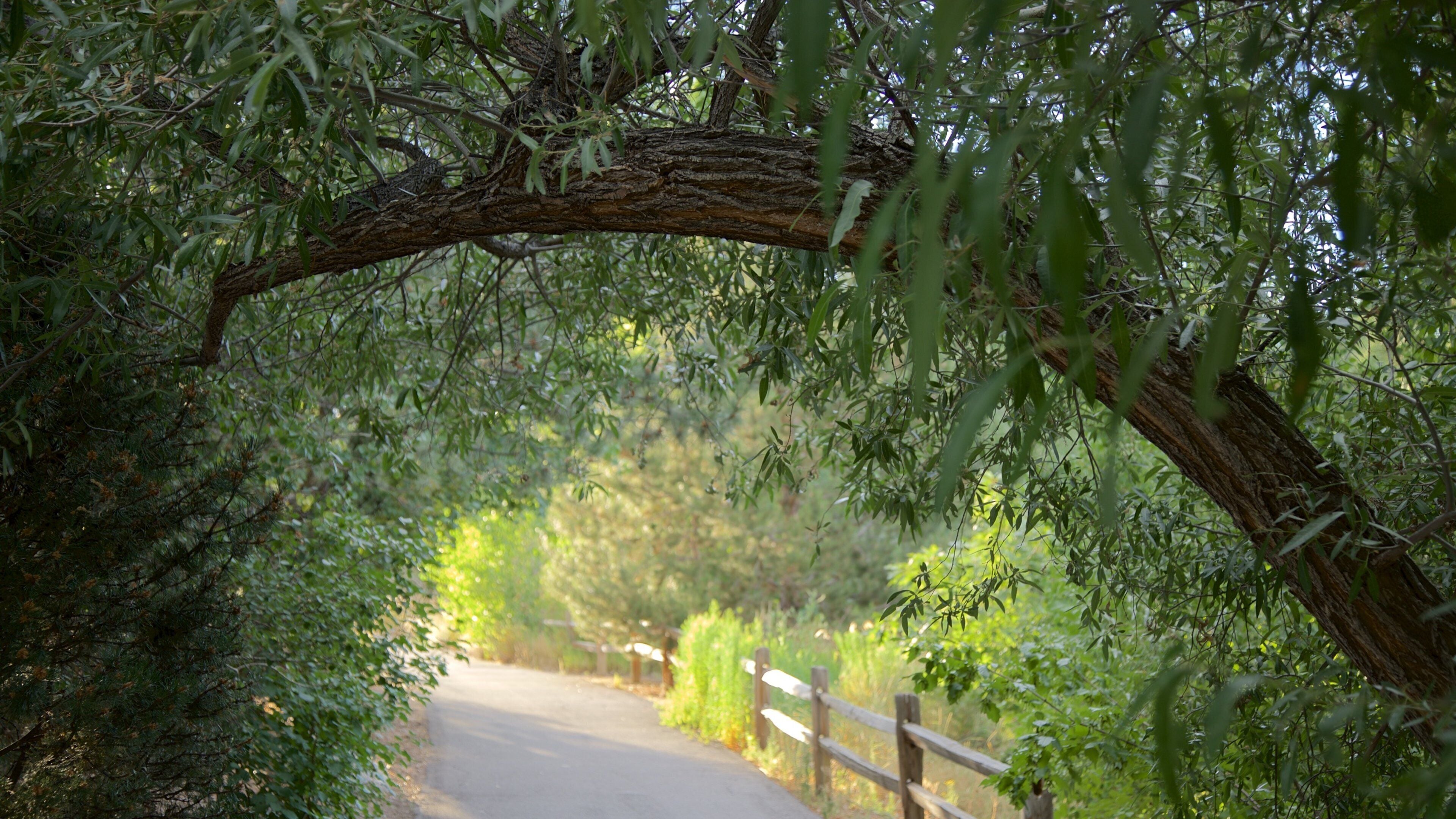 Rancho San Rafael Park