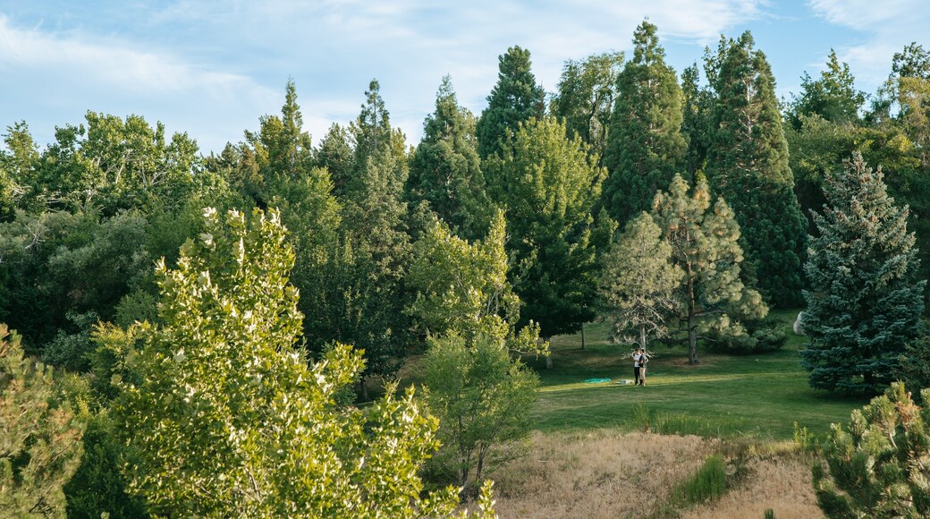 Rancho San Rafael Park which includes landscape views and golf