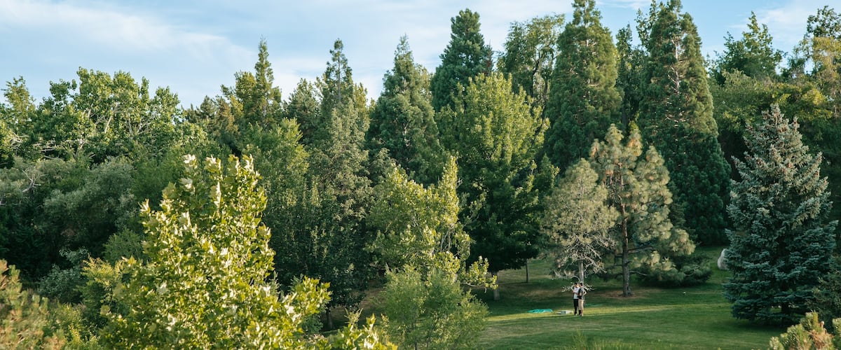 Rancho San Rafael Park which includes landscape views and golf