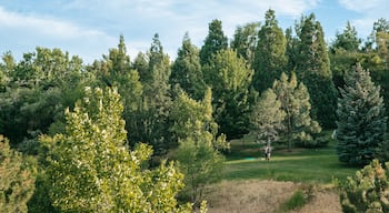 Rancho San Rafael Park which includes landscape views and golf