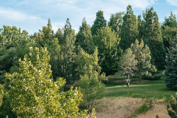 Rancho San Rafael Park which includes landscape views and golf